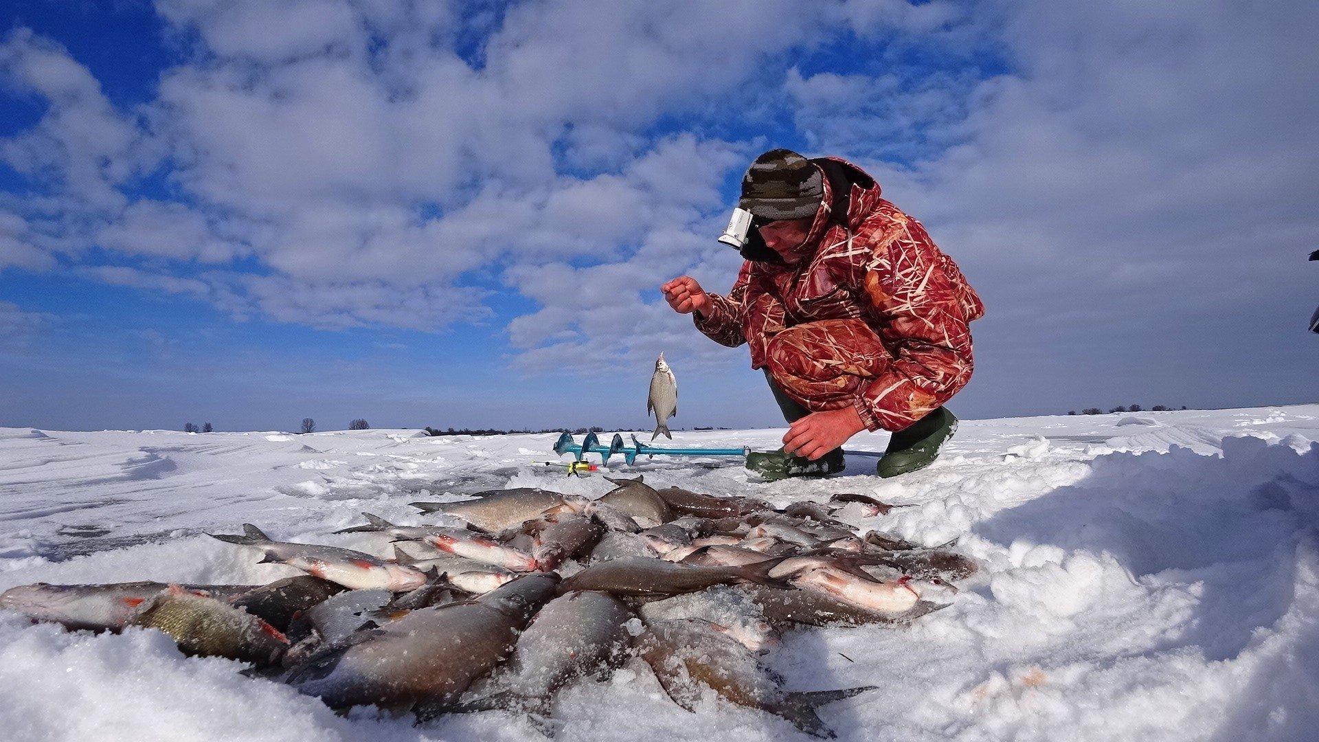 Волоколамцев приглашают на рыболовный фестиваль «В бой идут одни рыбаки»