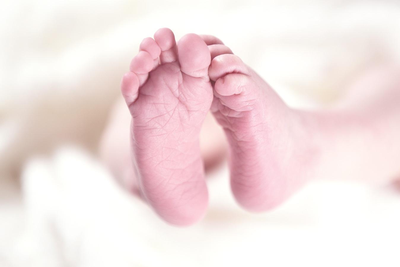 Выплату на новорожденного получили в Подмосковье более 5,5 тысяч семей с начала года