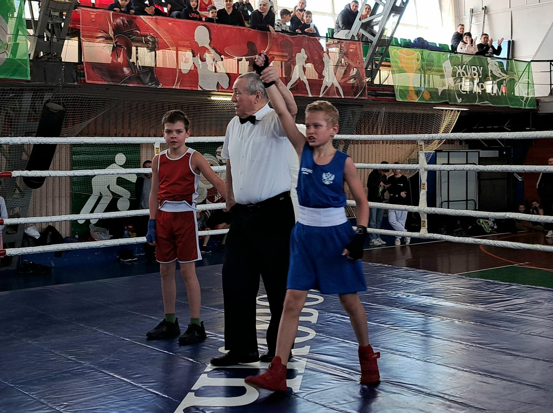 Более 60 спортсменов приняли участие в открытом первенстве Рузского городского округа по боксу