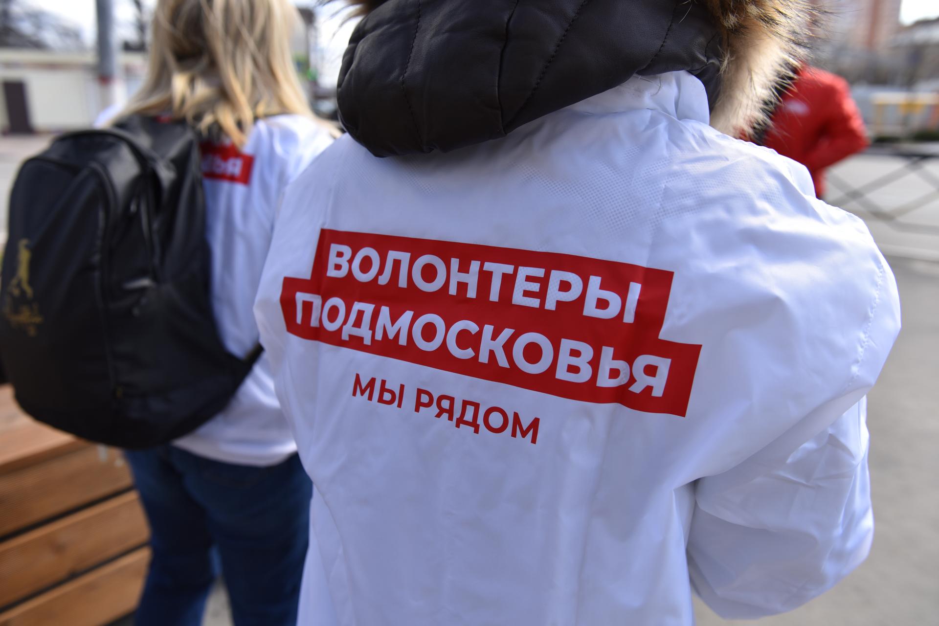 Жители выбирают: в Московской области началось голосование по благоустройству