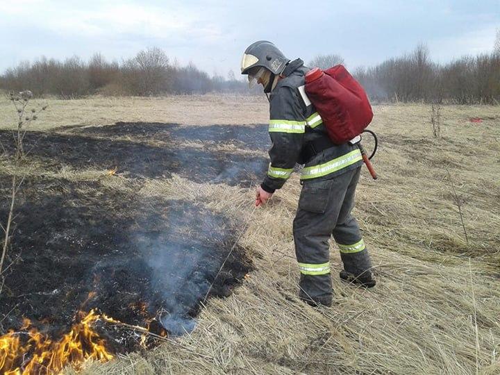 Спасатели напоминают жителям Чехова и округа о запрете пала сухой травы