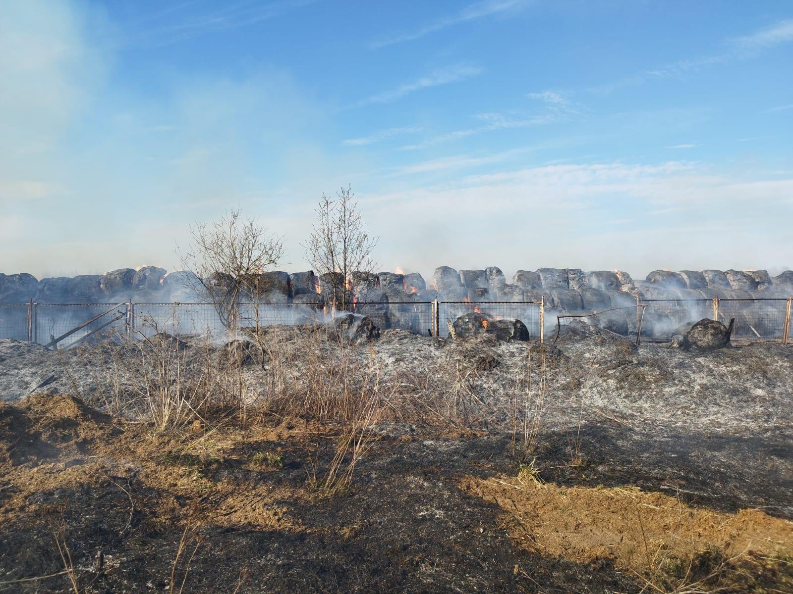 Пожарные предупредили люберчан об опасности поджигания сухой травы