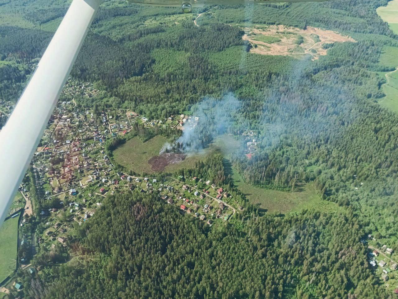Пожарная обстановка и прогноз возгорания в лесах Подмосковья на период с 29 по 31 мая