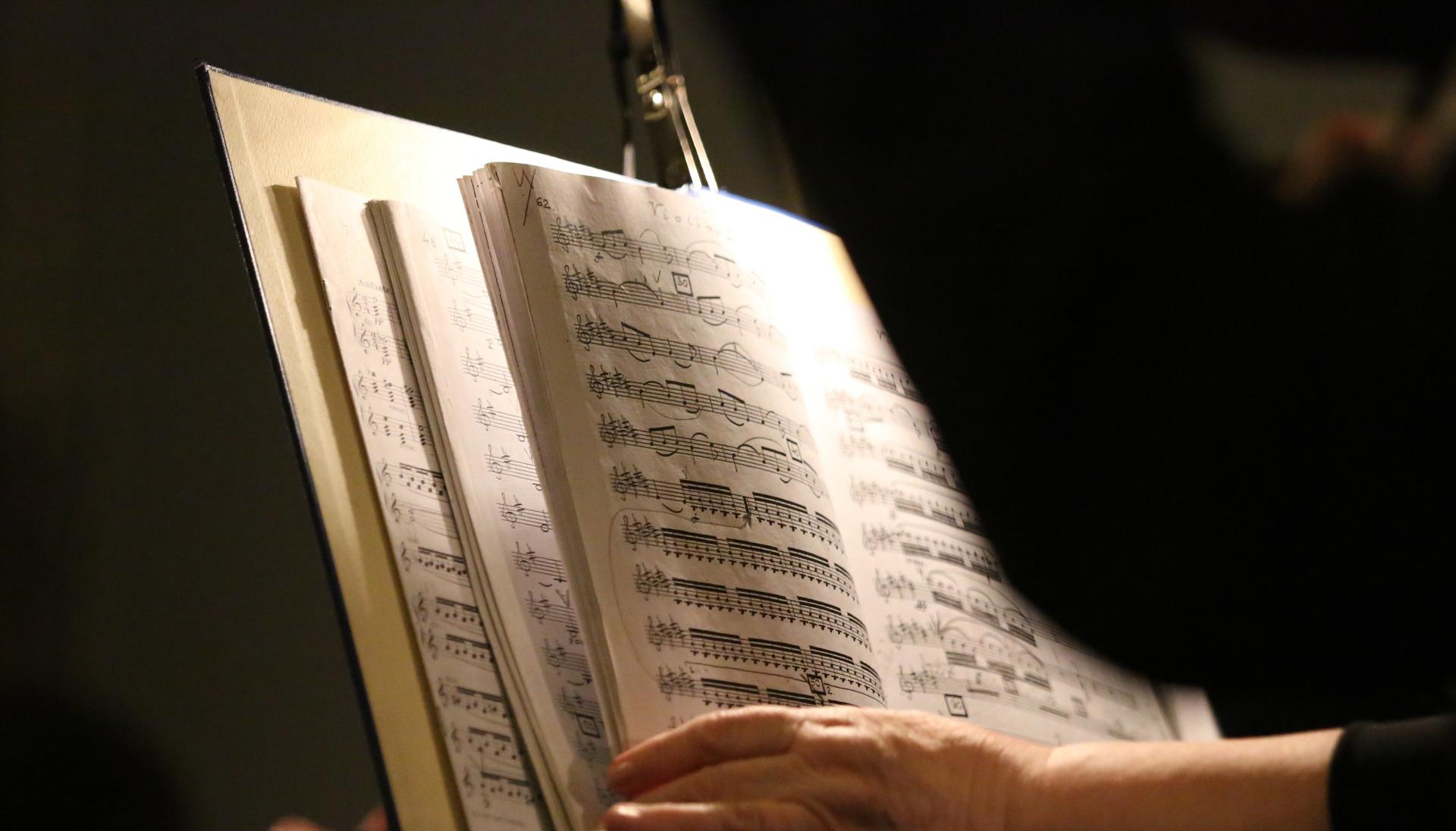 В Звенигороде 23 июля состоится концерт классической музыки