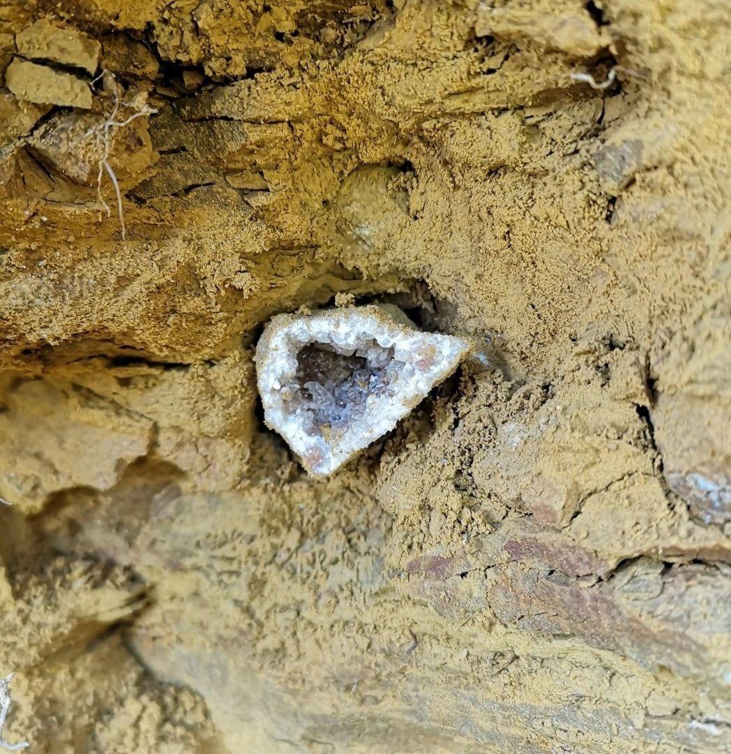 Где найти полудрагоценные камни и окаменелости в Подмосковье: топ самых интересных мест