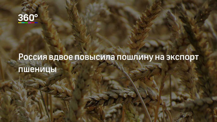 Повысили вдвое. Повышение экспортной пошлины на зерно. Пошлина на пшеницу 25.04.22. Контракт на экспорт пшеницы из Монголии. Украинцы просят Остановить экспорт пшеницы.