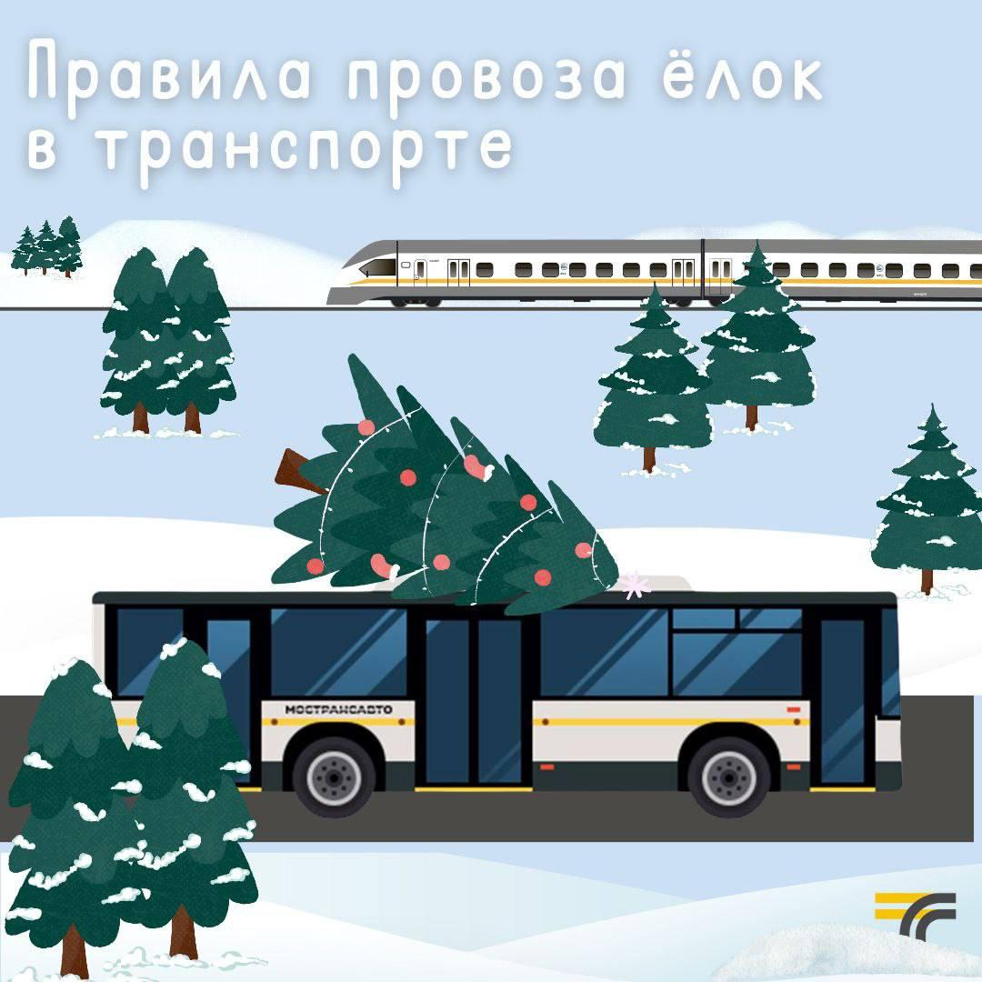 В Минтрансе Подмосковья рассказали, как перевозить новогодние елки в общественном транспорте