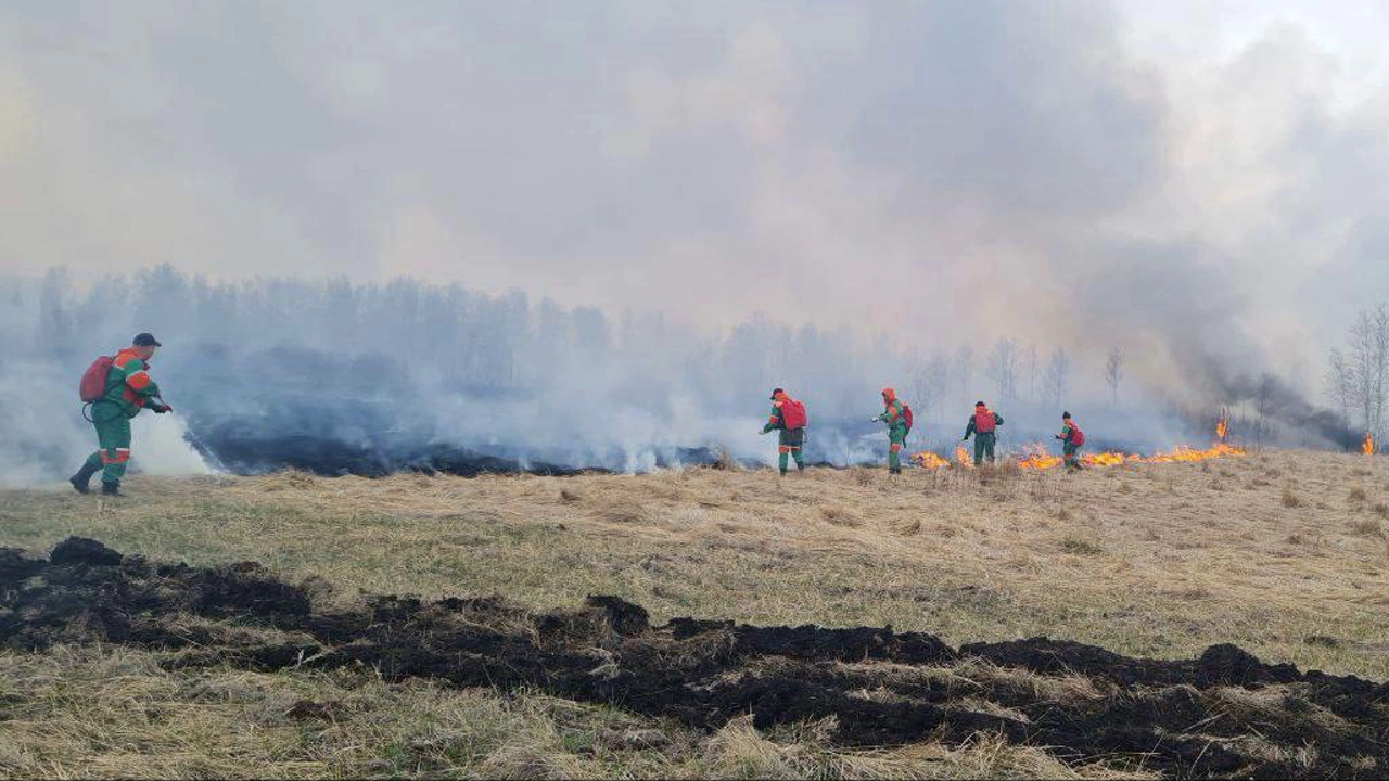 Бойцы «Ямалспаса» и МЧС вернулись из Тюменской и Курганской областей с тушения природных пожаров