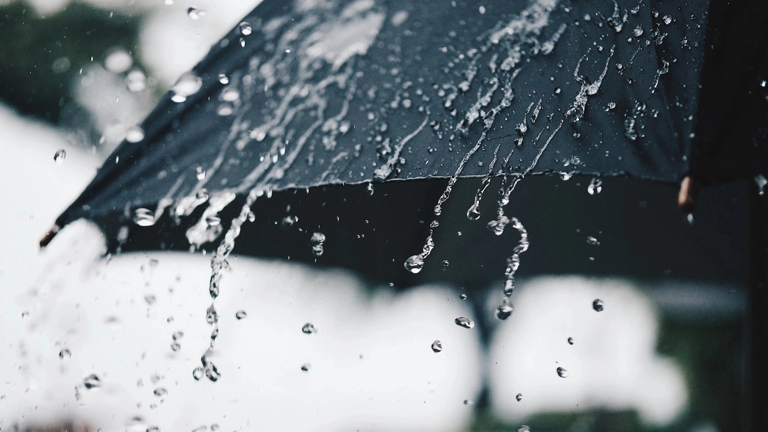 Дождливо и с грозами. Жителям Ямала в выходные придется доставать зонты
