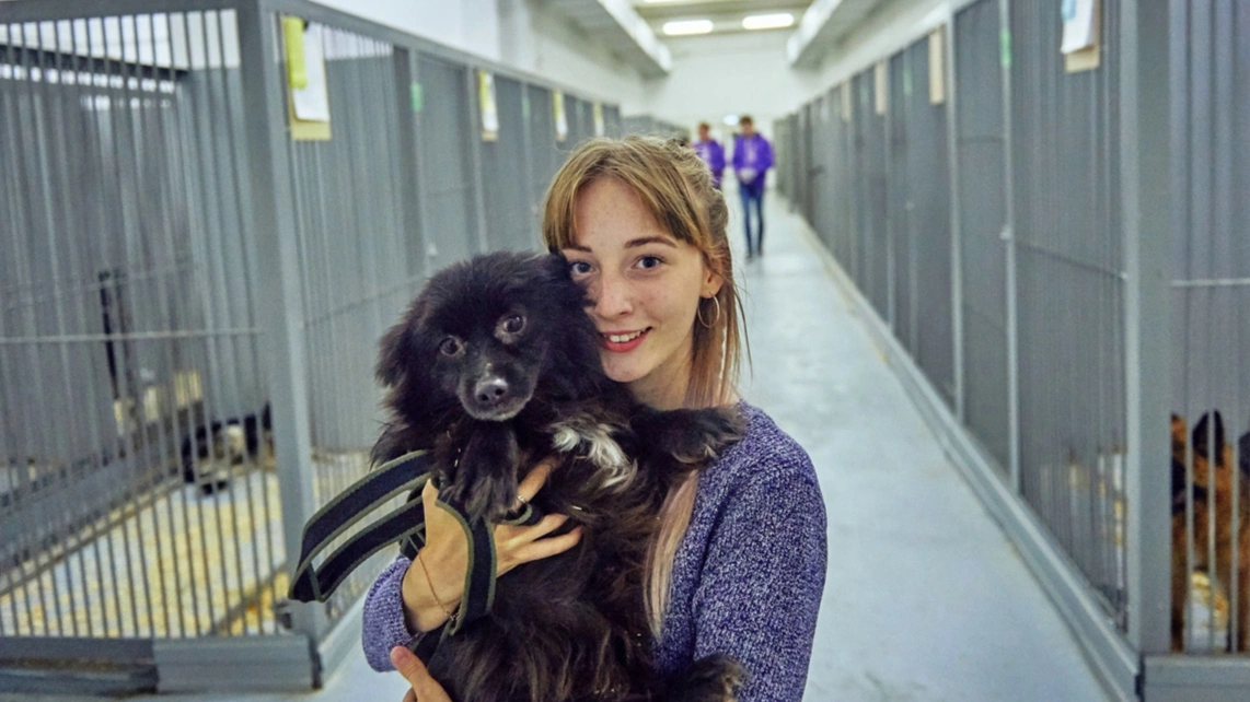 На Ямале на Неделе добра проведут Дни помощи животным и слёт волонтёров-медиков