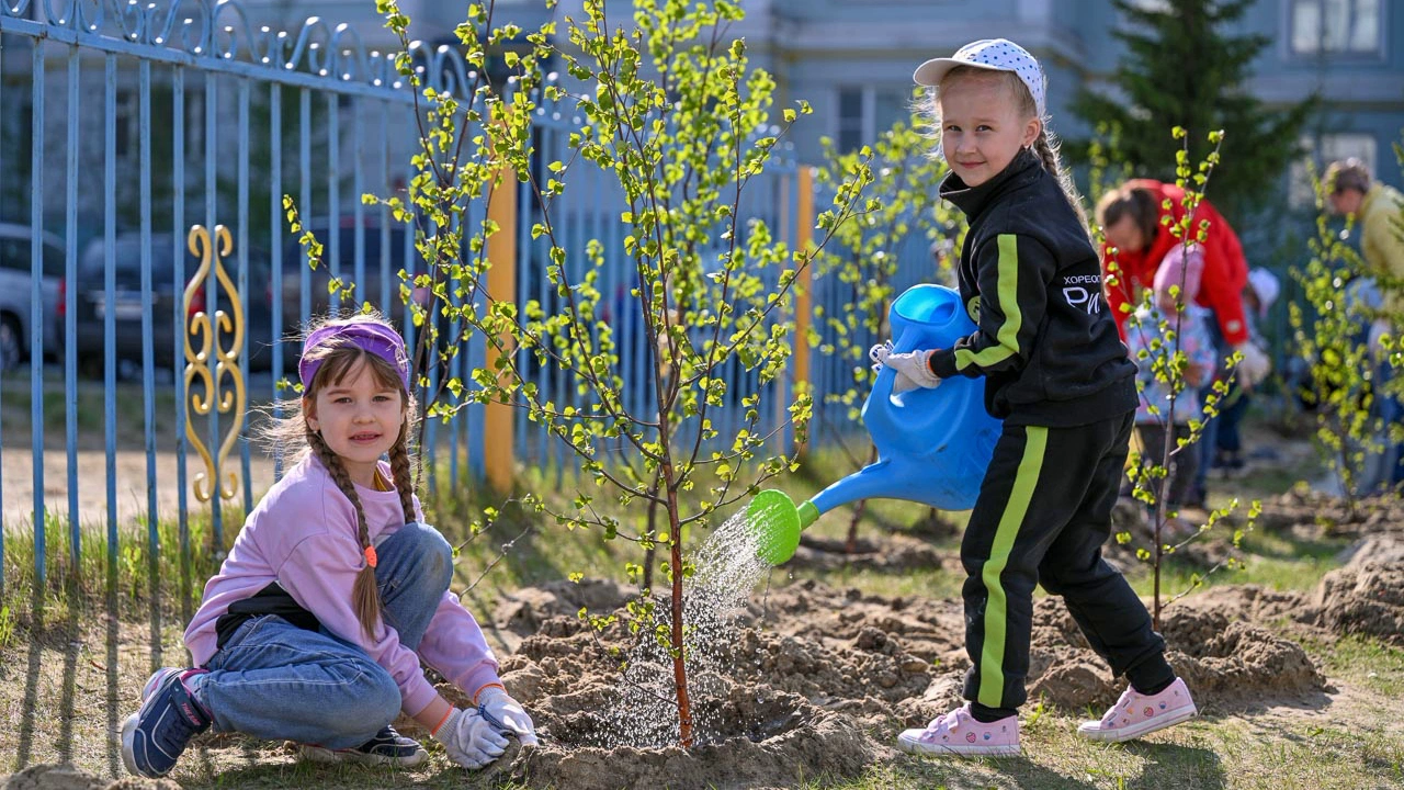 Во Всероссийский день посадки леса у детсада в Салехарде укоренили 137 деревьев