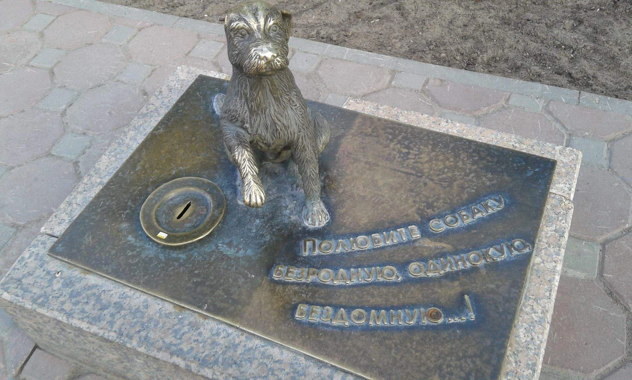 В Салехарде предложили собирать деньги для бездомных животных с помощью памятника-копилки