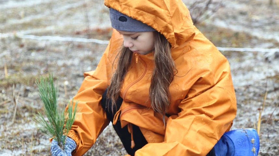 Школьники Ноябрьска посадили 25 кедров на аллее «Ямине»