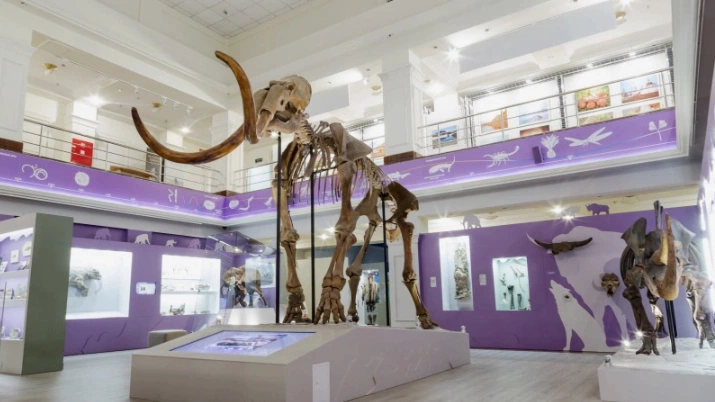 В главном музее Ямала появится тактильная копия мамонтёнка Любы