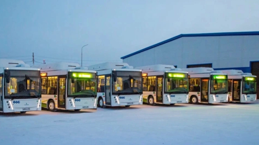 В Салехарде на линии вышли 6 экологичных белорусских автобусов