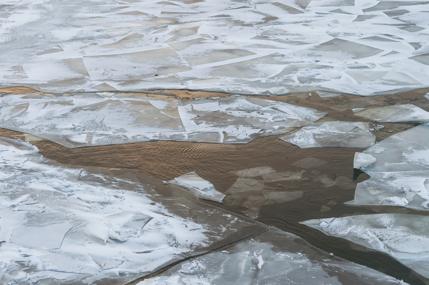 Стадо оленей ушло под лёд во время каслания в Приуральском районе