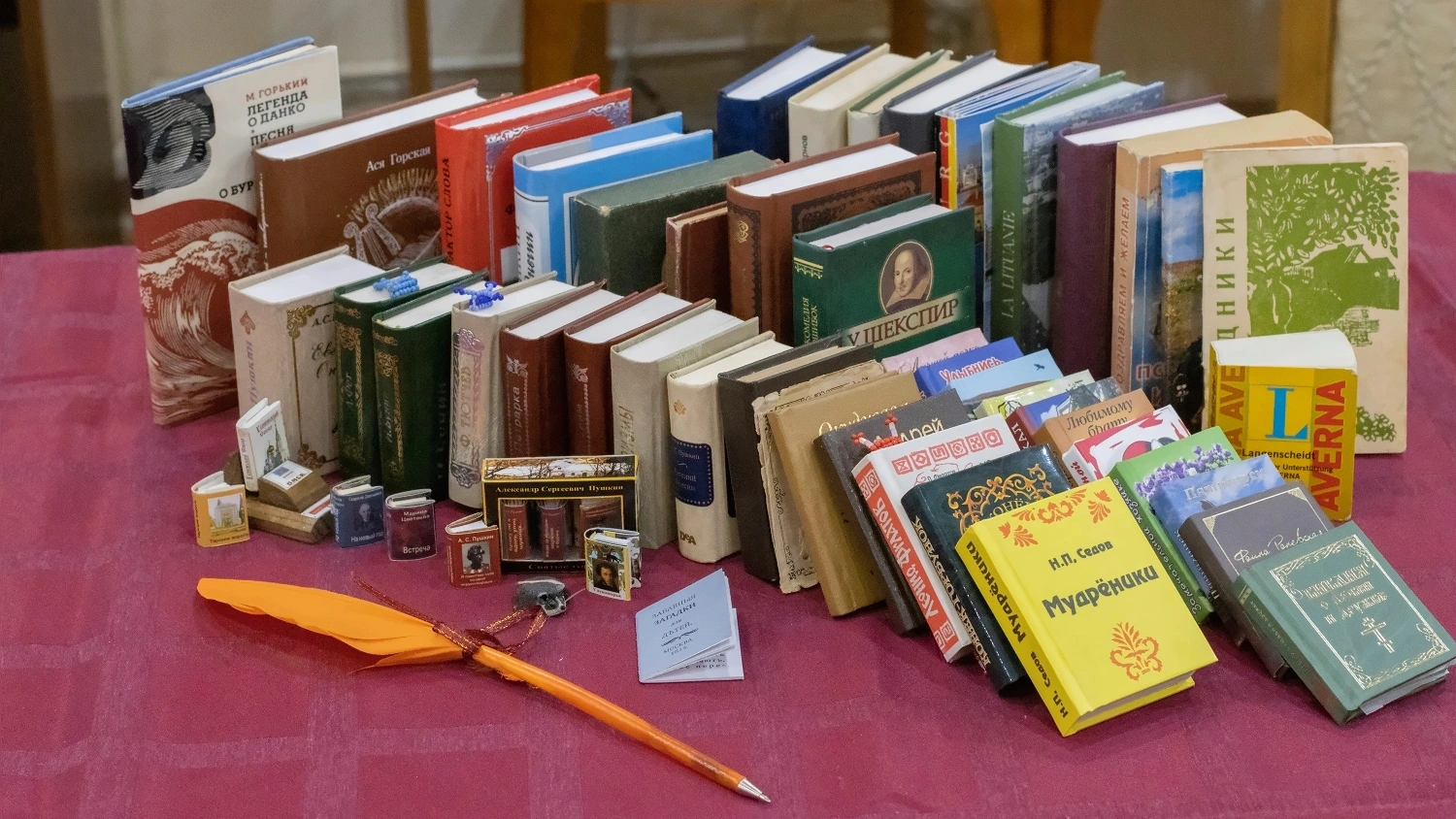 Жительница Салехарда собрала большую коллекцию миниатюрных книг