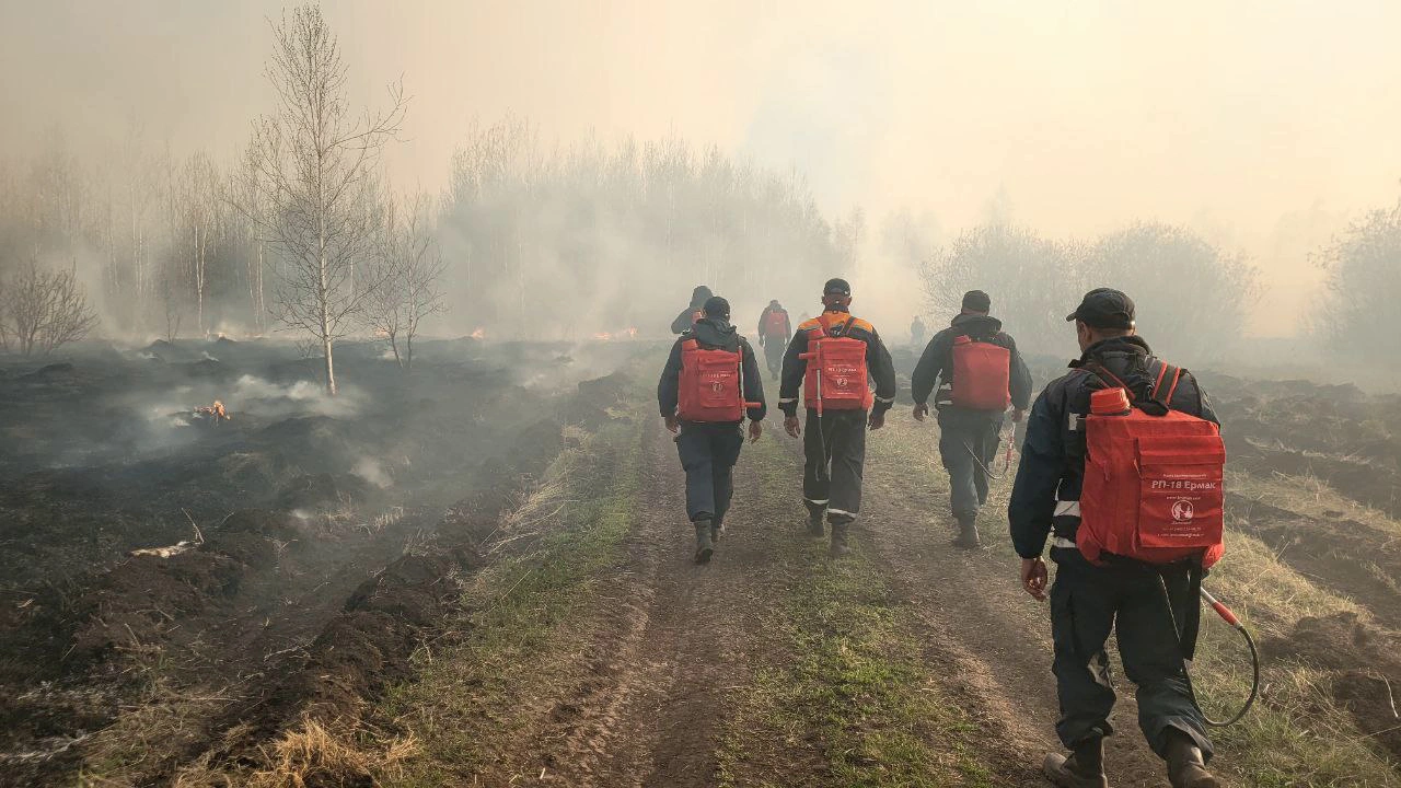 Сводные группы «Ямальспаса» участвуют в тушении природных пожаров в Курганской и Тюменской областях