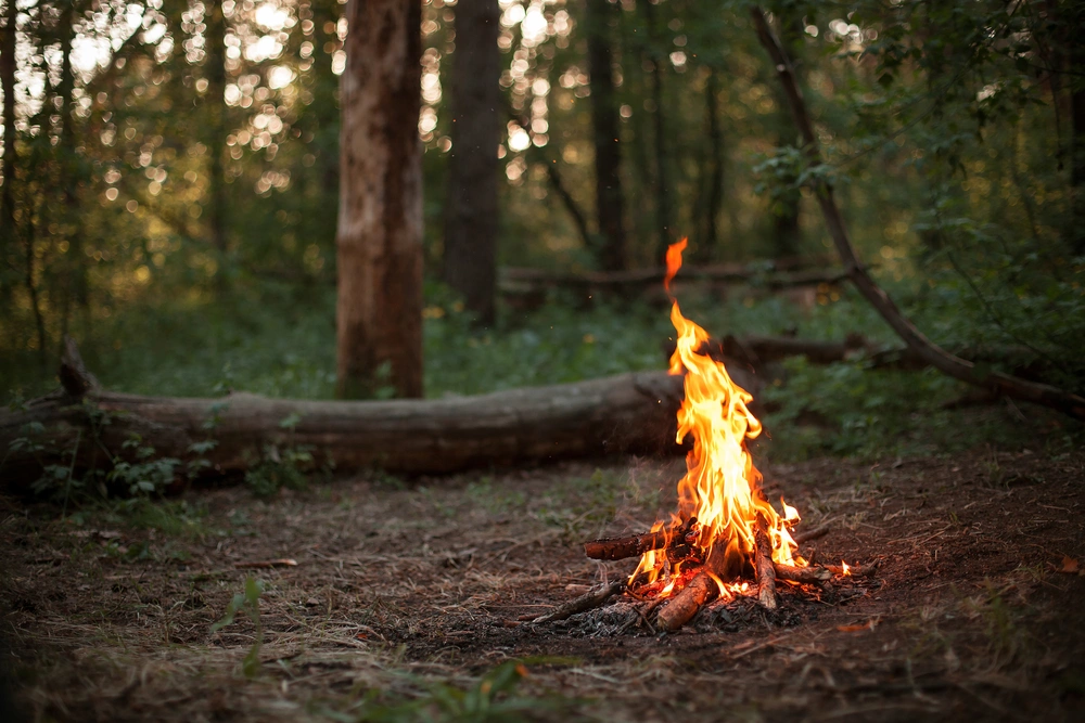 Окопать, убрать листву, затушить угли. Ямальцам напомнили правила пожарной безопасности в лесу и ответственность за их нарушение