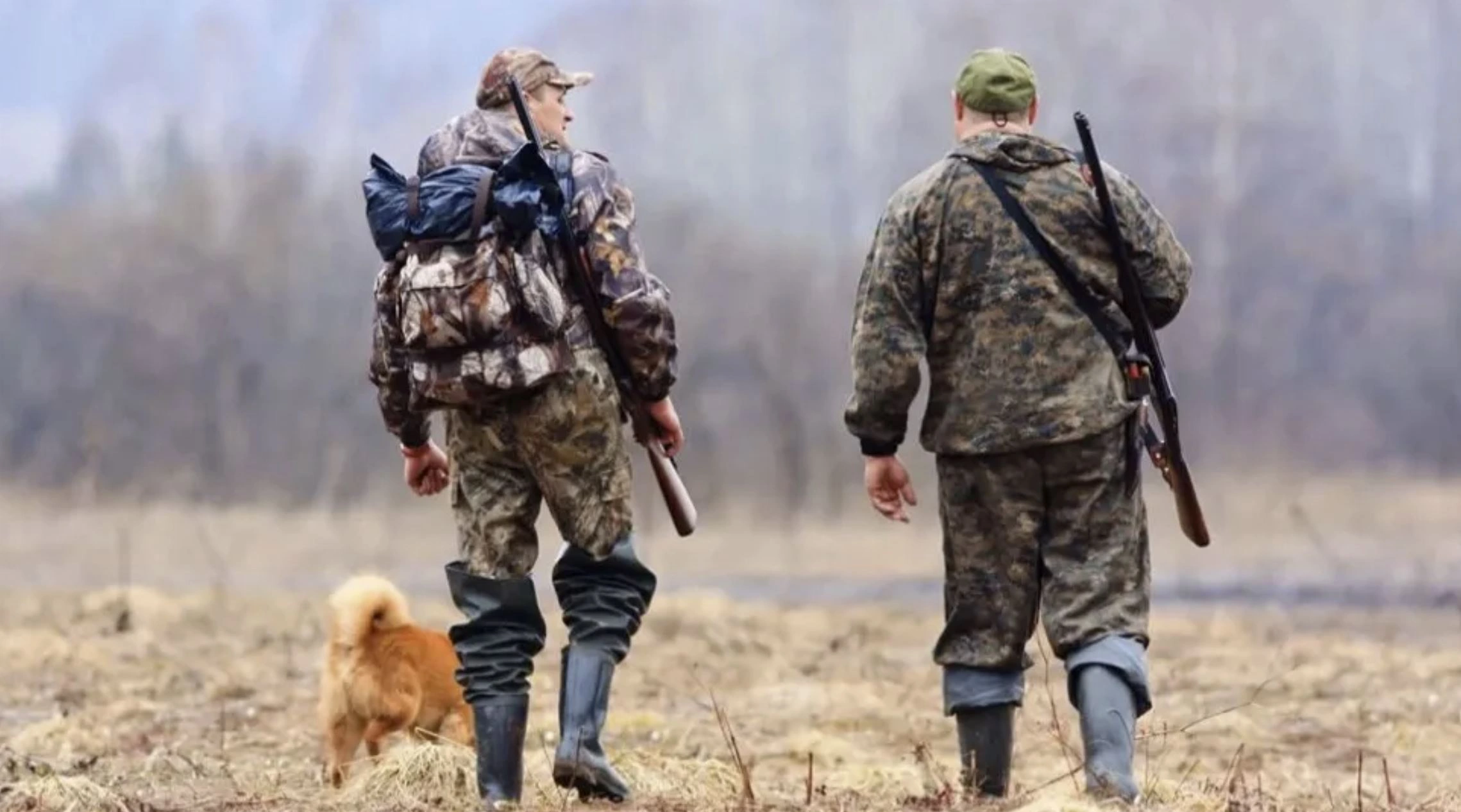 На Ямале начался сезон охоты на птиц с подружейными собаками