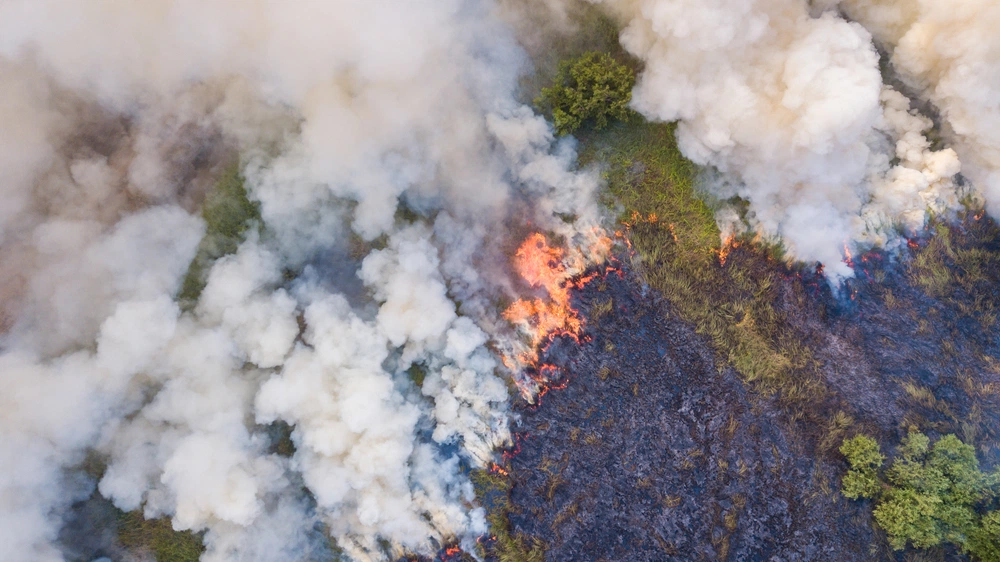 На Ямале бушует уже девять природных пожаров